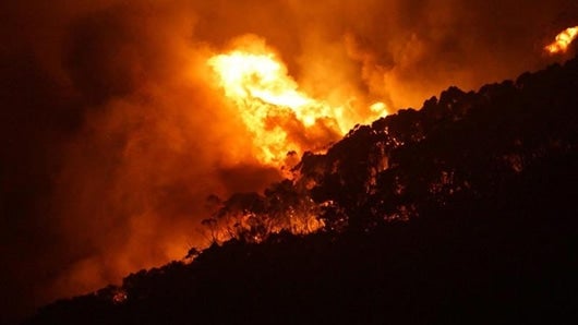 Unos 500 bomberos fueron movilizados para sofocar las llamas. Foto: EFE.