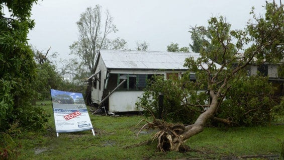 Los fuertes vientos arrancaron árboles y destrozaron casas. Foto: EFE