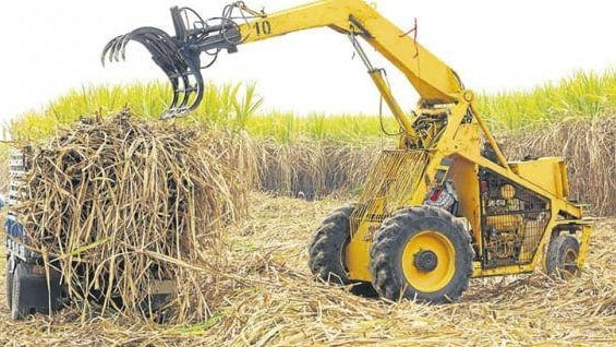 Según datos de la Organización Internacional del Azúcar, Colombia se ubica en el rango medio en el precio de este producto por tonelada. Foto: Procaña