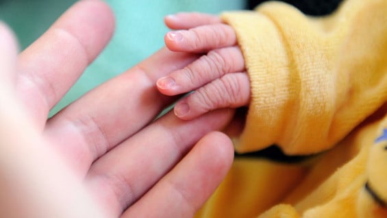 El feto permaneció con vida durante 15 semanas en el vientre de su madre con muerte cerebral. AFP