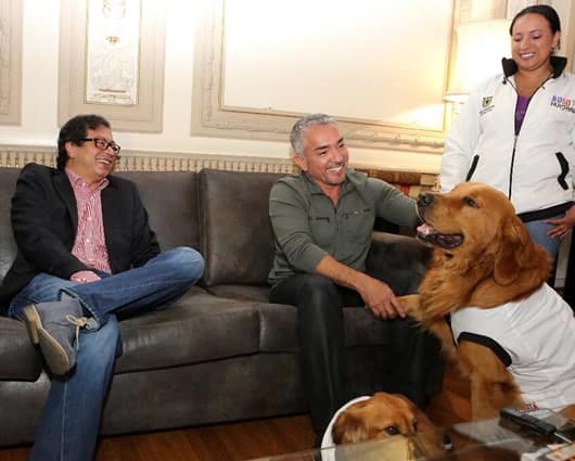 El alcalde de Bogotá, Gustavo Petro, y Cesár Millán. Foto: oficial