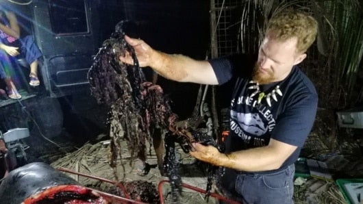 La autopsia de la ballena. Foto: AFP