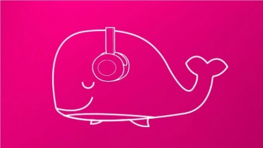 Todas las tareas deben ser registradas en redes sociales con #BallenaRosa. Foto: @eusoubaleiarosa.