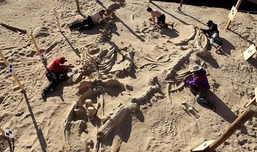 El cementerio de Cerro Ballena, en Atacama, es considerado uno de los más importantes del mundo. Foto: AFP