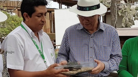 Foto: EFE / Parque Nacional Galápagos de Ecuador.