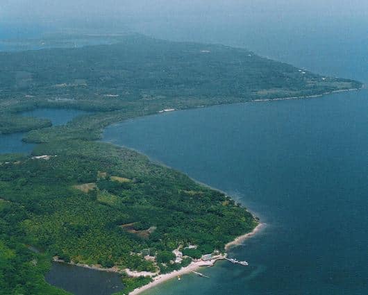 La construcción del puerto afectaría 1.000 hectáreas de la isla.