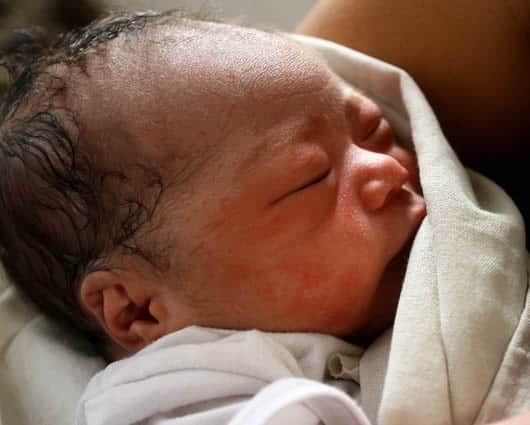 El pequeño rescatado de la basura.