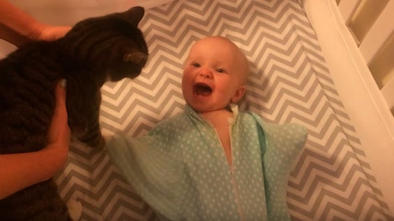 El video suma casi un millón de visitas en Youtube.