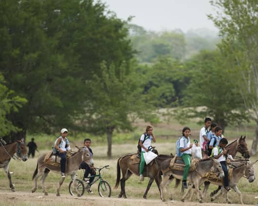 Las hermanas Castillo Ballena fueron desplazadas de Cienaga. Foto: AFP