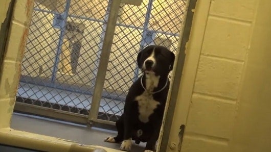 Gardena´s Carson Shelter