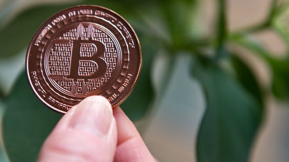 Actualmente circulan a traves de internet mas de 15 millones de bicoins equivalentes a 6.600 millones de dólares. AFP