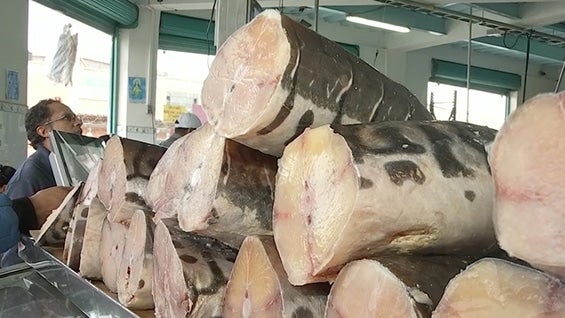 Durante esta semana se espera que en Corabastos se vendan cerca de 800 toneladas de pescado. Foto: Noticias RCN.