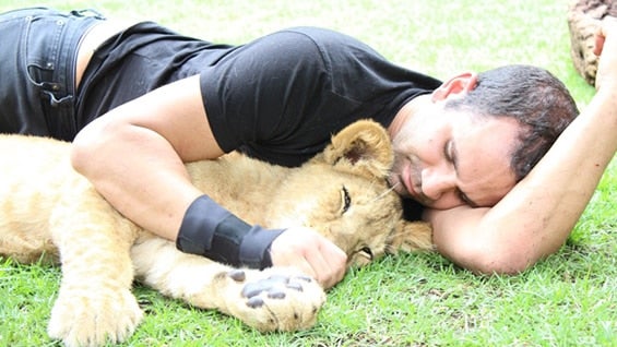 Foto: Black Jaguar White Tiger Foundation (Facebook)