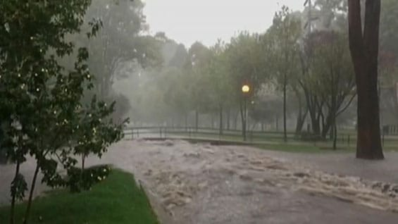 Uno de los lugares más afectados fue el del parque El Virrey. Foto: Noticias RCN.