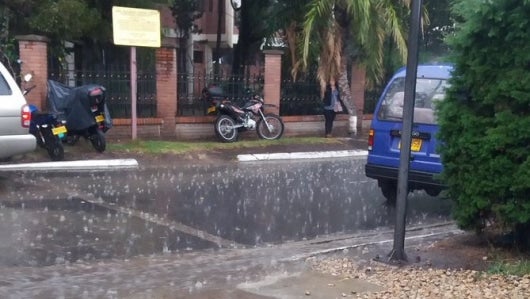 Foto: @Cuchurrumi31 en Twitter.