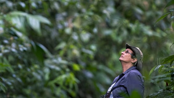 En los últimos 35 años, el país ha perdido 17 millones de hectáreas de ecosistemas forestales. AFP