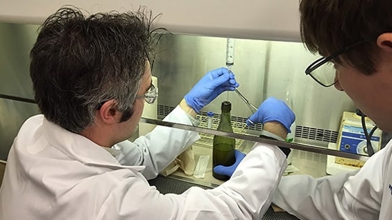 Foto: Dalhousie University.