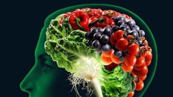 Los alimentos balanceados ayudan a mejorar la actividad cerebral.