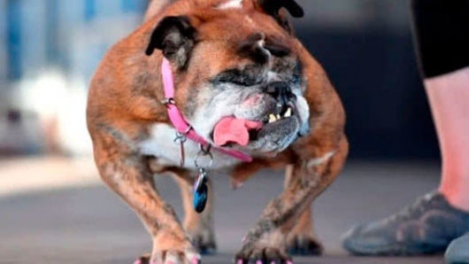 Foto: Josh Edelson / AFP