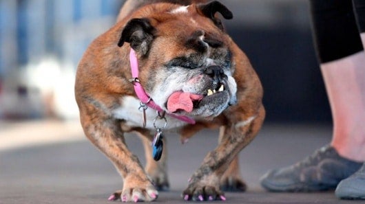 Foto: Josh Edelson / AFP