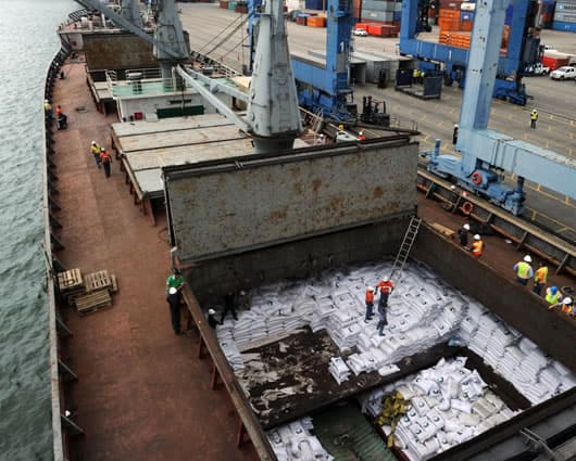 Autoridades descubrieron el lunes los primeros dos contenedores. Foto: AFP