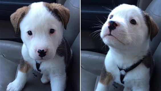 El video suma millones de visitas en Youtube.