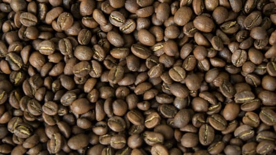 Podrá ser empleada para aliviar el estrés de los animales previo al sacrificio. Foto: AFP.