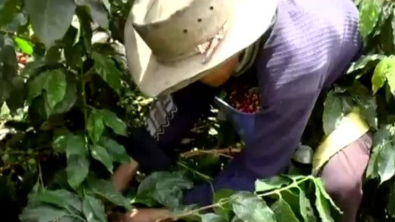 Foto: NoticiasRCN.com