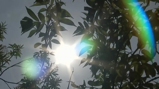 Foto: archivo NoticiasRCN.com