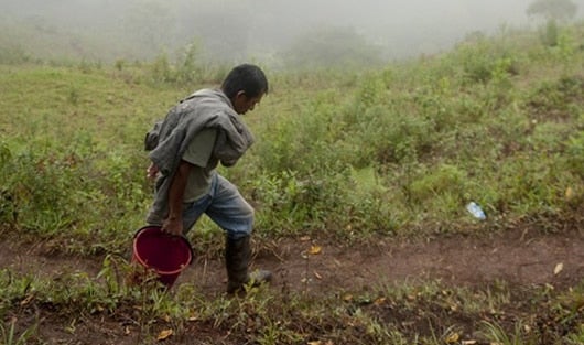 La Fiscalía adelanta varios proceso por el despojo de tierras en el Urabá. Foto: AFP