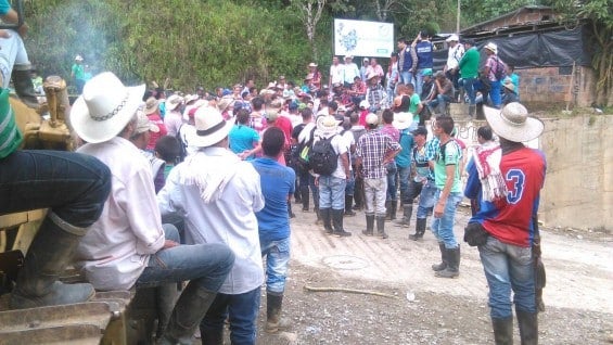 Foto: Cortesía campesinos de Briceño.