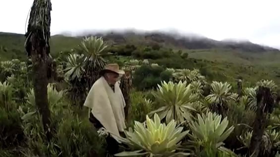 Foto: NoticiasRCN.com