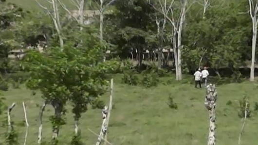 Los documentos publicados por el Gobierno evidencian el abandono al campo colombiano. Foto: Noticias RCN.