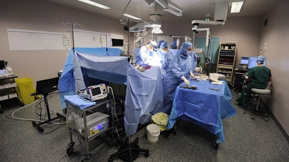 El mieloma múltiple afecta a entre 1 y 5 personas de cada 100.000 en el mundo. Foto: Archivo AFP.