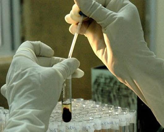 Los investigadores utilizaron un fármaco para desarrollar la investigación. Foto: AFP