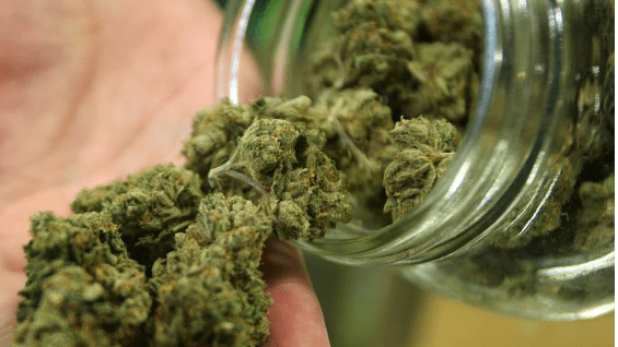 Pacientes don enfermedades crónicas o terminales se beneficiarían con la ley.Foto:AFP