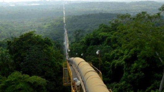 El oleoducto Caño Limón-Coveñas. Foto: Anla