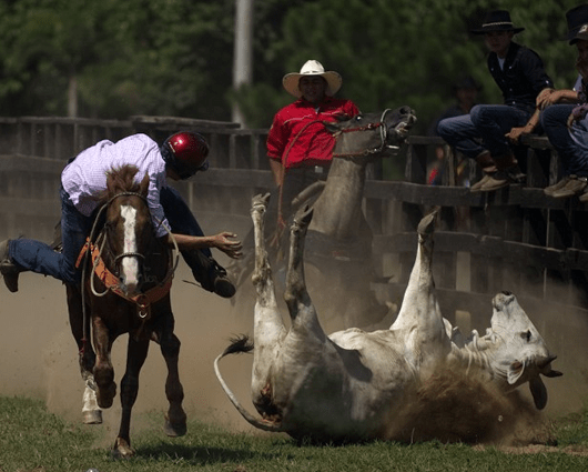 Esa tradición de más de 200 años se compone de cuatro variantes orales y sonoras. Foto: AFP