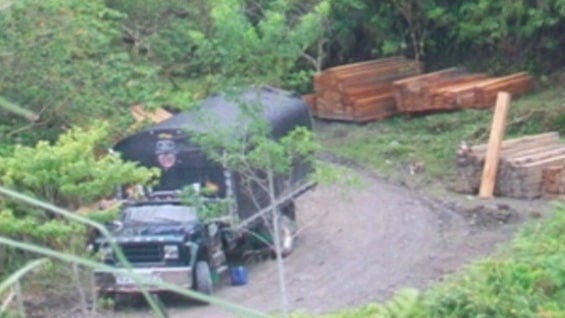 Las autoridades no han logrado cuantificar las hectáreas deforestadas. Foto: Noticias RCN