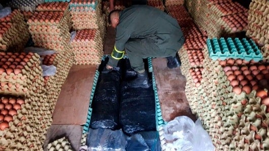 Cargamento de huevos con marihuana camuflada. Foto: Policía Nacional.