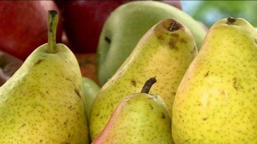 Foto: NoticiasRCN.com