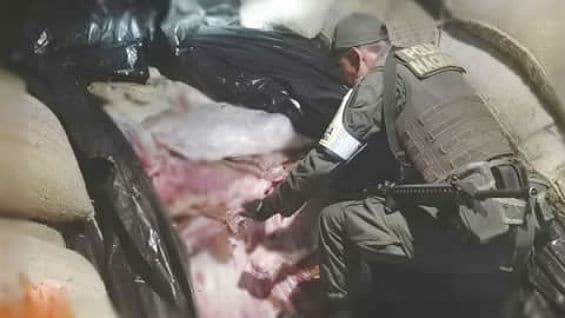 En el operativo fue capturada una persona de 25 años quien era el encargado de transportar el cargamento de carne. Foto Policía Nacional