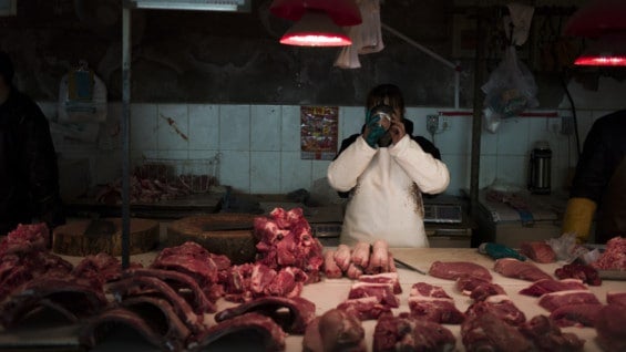 El decomiso se da a poco después del inicio del festival anual de carne de perro. Foto: AFP