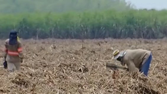 Foto: NoticiasRCN.com