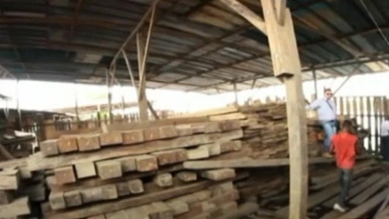 El departamento se ve afectado por la tala indiscriminada de árboles. Foto: Noticias RCN.