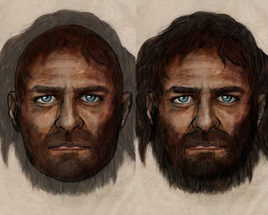 Así luciría el hombre europeo según la investigación. Foto: CSIC