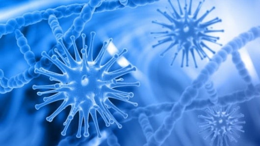 Imagen de referencia. Foto: Freepik.