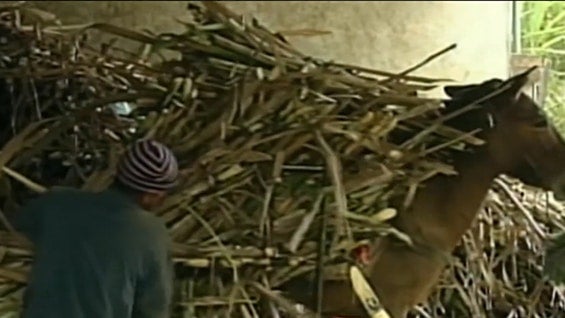 Foto: NoticiasRCN.com