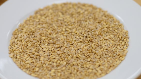 Foto de referencia. AFP.