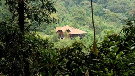 El Parque Natural Chicaque tiene más de 10 kilómetros de senderos ecológicos.